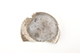 FileNo.173-440.jpg