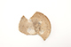 FileNo.173-444.jpg