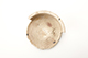 FileNo.173-448.jpg