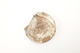 FileNo.173-459.jpg