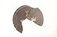 FileNo.173-462.jpg