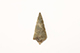 FileNo.173-478.jpg