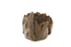 FileNo.173-480.jpg