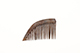 FileNo.173-485.jpg