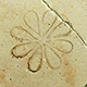 FileNo.173-558.jpg