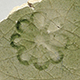 FileNo.173-559.jpg