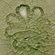 FileNo.173-560.jpg