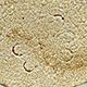 FileNo.173-562.jpg