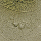 FileNo.173-564.jpg