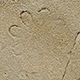 FileNo.173-566.jpg