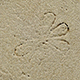 FileNo.173-567.jpg