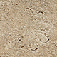 FileNo.173-568.jpg