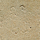 FileNo.173-569.jpg