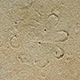 FileNo.173-570.jpg