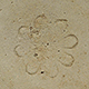 FileNo.173-572.jpg