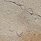 FileNo.173-573.jpg