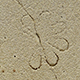 FileNo.173-574.jpg