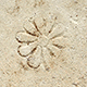 FileNo.173-577.jpg
