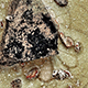 FileNo.173-579.jpg
