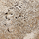 FileNo.173-581.jpg