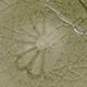 FileNo.173-583.jpg