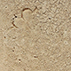FileNo.173-584.jpg