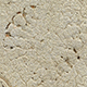 FileNo.173-586.jpg