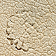 FileNo.173-588.jpg
