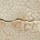 FileNo.173-589.jpg