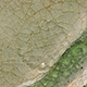 FileNo.173-592.jpg