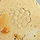 FileNo.173-594.jpg