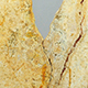 FileNo.173-595.jpg