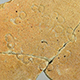 FileNo.173-596.jpg