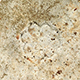 FileNo.173-597.jpg