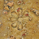 FileNo.173-600.jpg