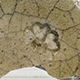 FileNo.173-605.jpg