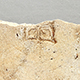 FileNo.173-608.jpg