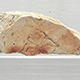 FileNo.173-609.jpg