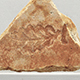FileNo.173-612.jpg