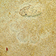 FileNo.173-614.jpg