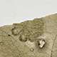 FileNo.173-615.jpg
