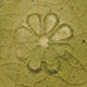 FileNo.173-616.jpg