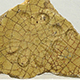 FileNo.173-617.jpg