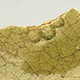FileNo.173-618.jpg