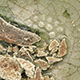 FileNo.173-620.jpg