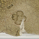 FileNo.173-621.jpg