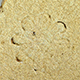 FileNo.173-623.jpg