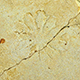 FileNo.173-624.jpg