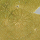 FileNo.173-625.jpg