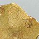 FileNo.173-626.jpg